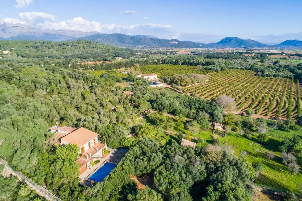 Ideal Property Mallorca - Es Puchet Búger 0*,
